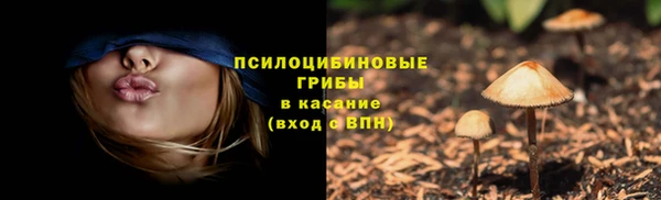 соль курить ск Аркадак