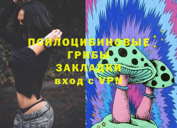 ECSTASY Армянск